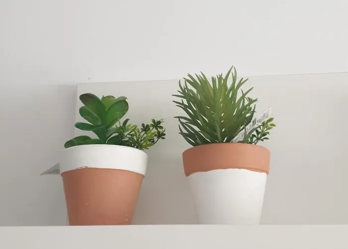 Διαμέρισμα Ciudad Jardin - Confort Centro Iii Κόρδοβα